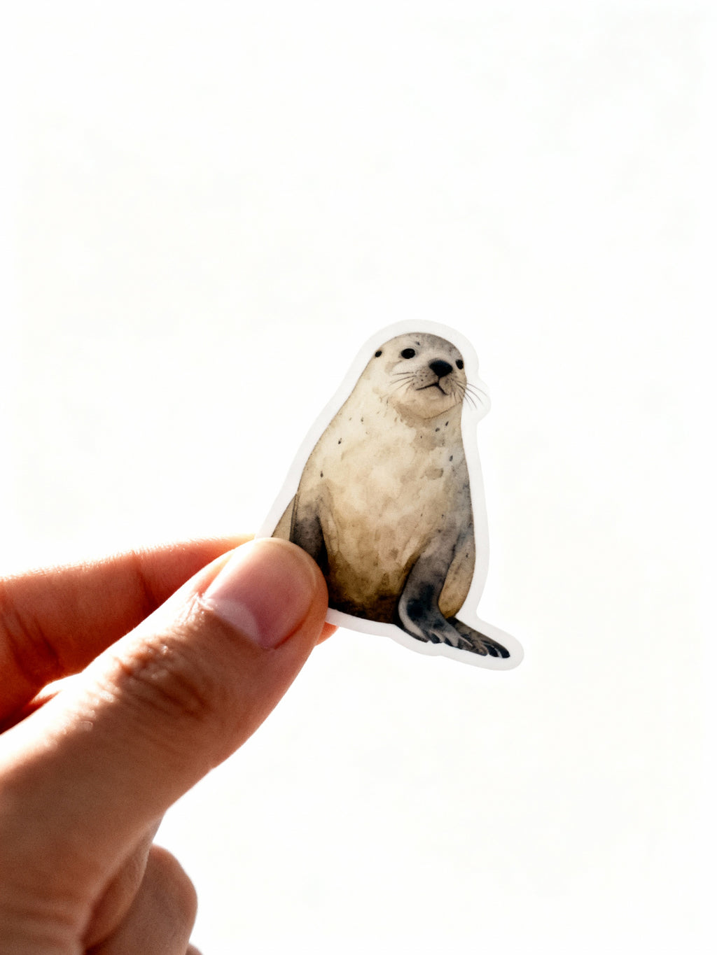 Hand holding a seal sticker against a white background